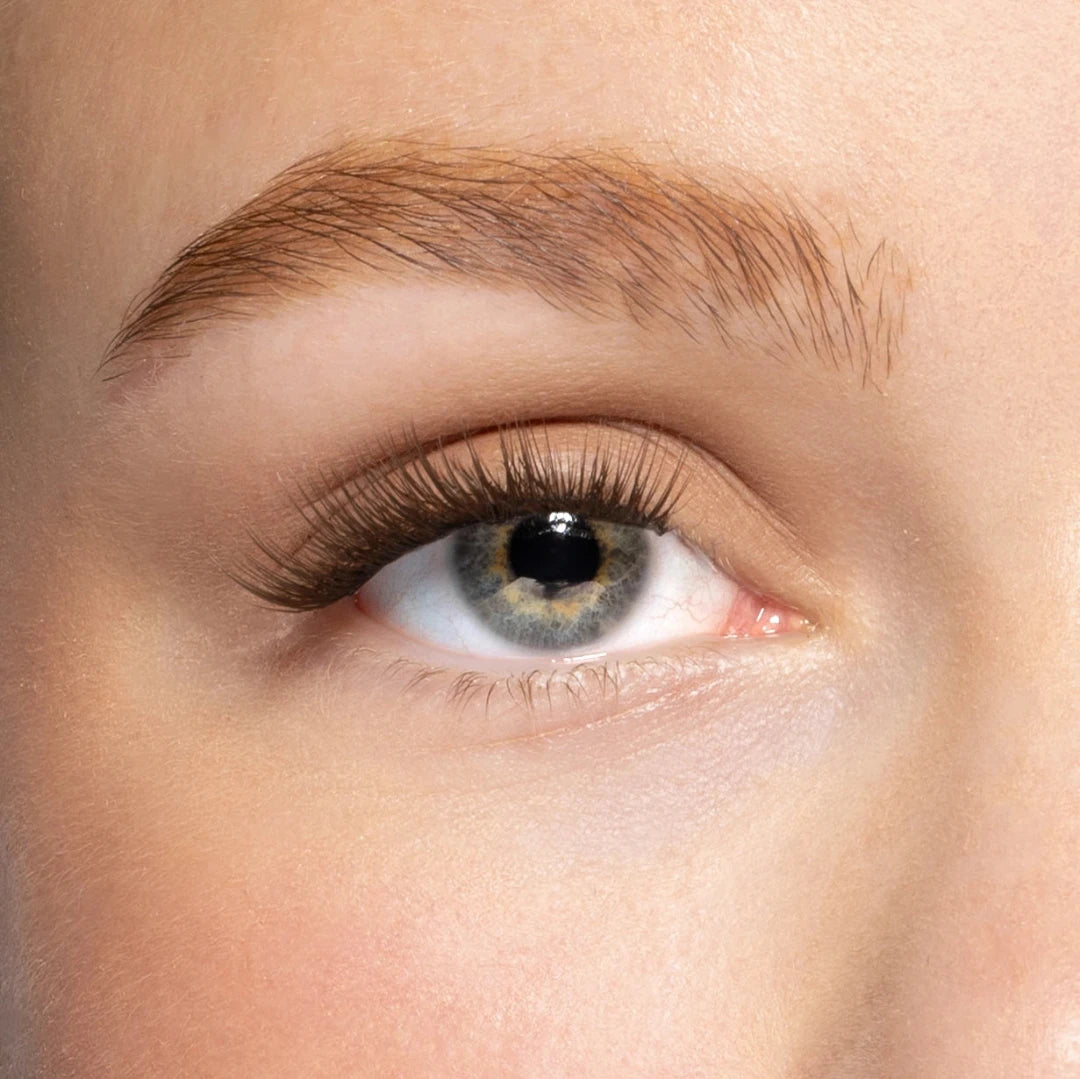 Dagelijkse bruine nepwimpers van Celíne noé in de stijl Bronze me een zachter, flattering alternatief voor traditionele zwarte lashes 
